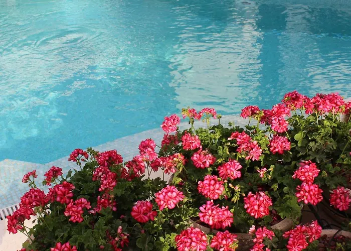 Hotel Likor Hanim Butik